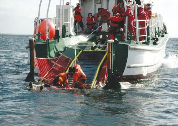 Pelastussillat - Image 3